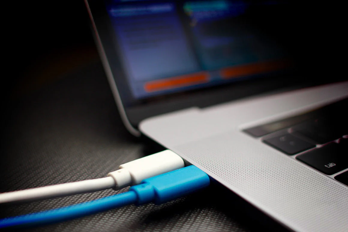 Chroma Cables: USB-C to B - Image 4